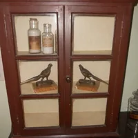 Klein display cabinet